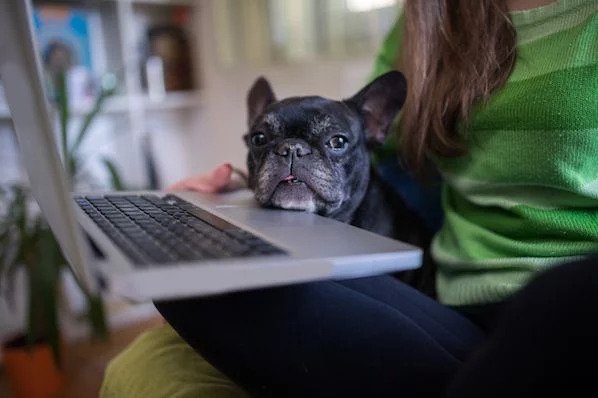 Work From Home: 20 Tips